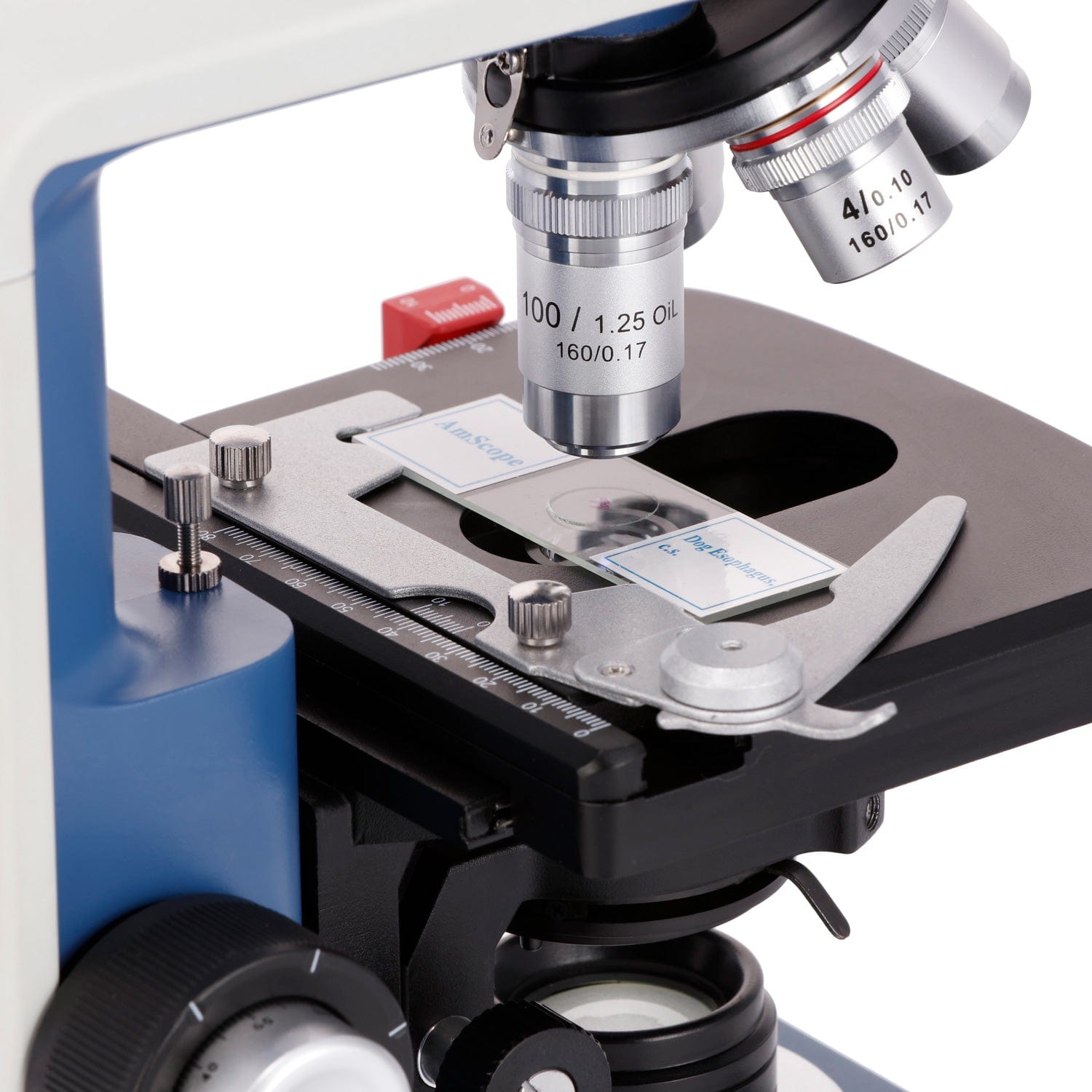 Microscope Compound 40X - AmScope 40X-2500X Magnification Student Binocular Compound
