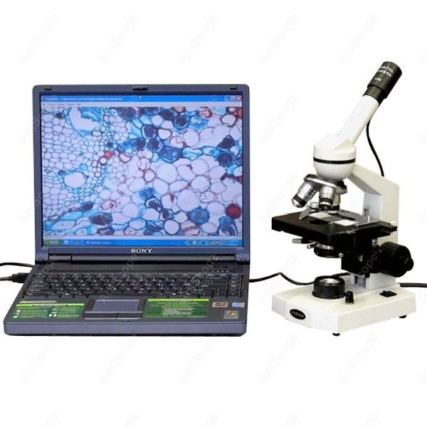 AmScope M600 Series Student Mo - Microscope Compound 40X ulasan dan harga