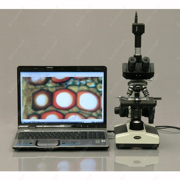 AmScope T390 Series Biological - Microscope Compound 40X ulasan dan harga