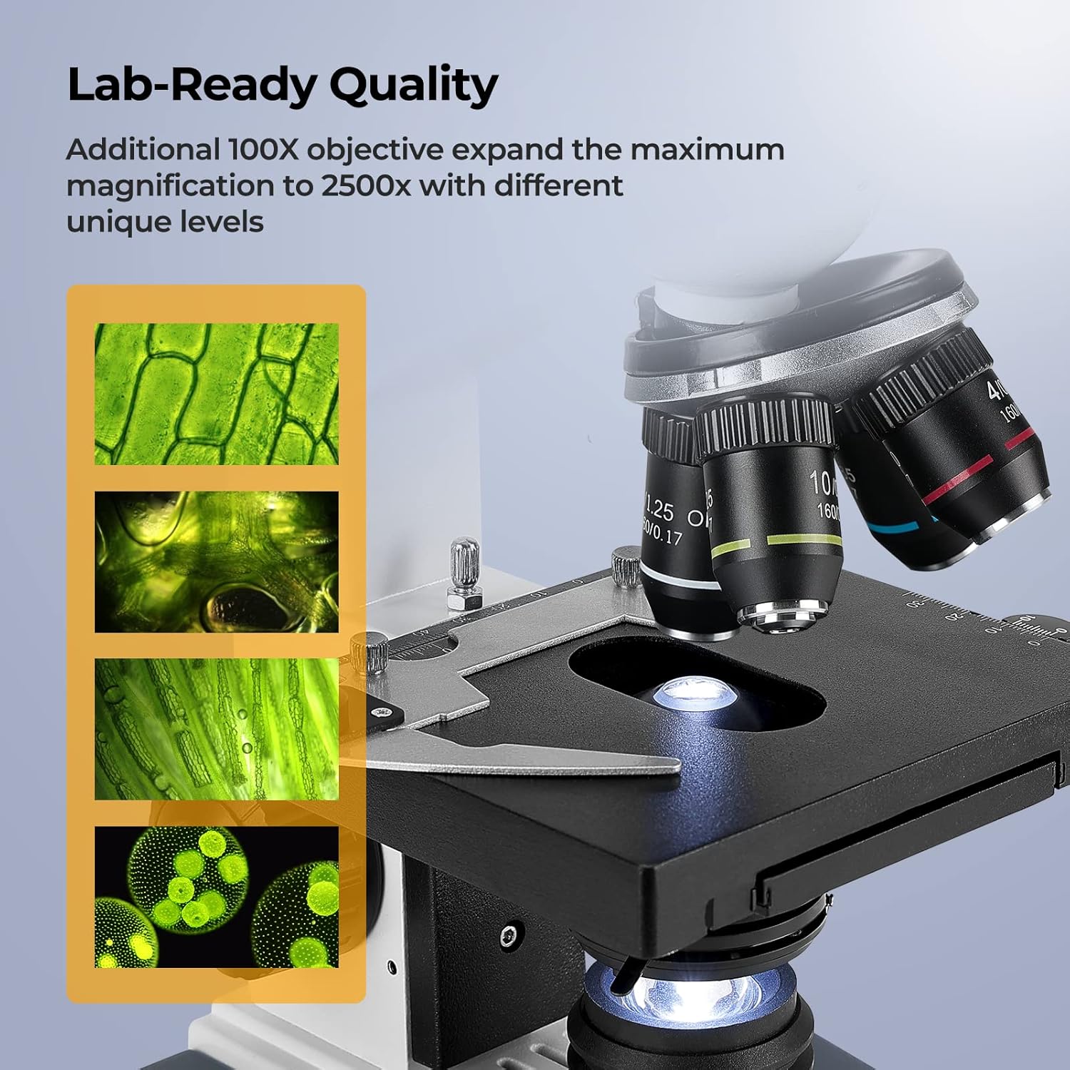 40X-2500X Trinocular Compound  - Microscope Compound 40X ulasan dan harga